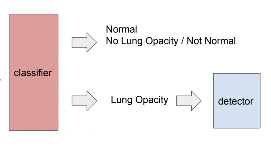 RSNA detection